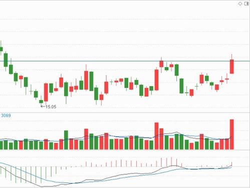国产黄视,探寻中国视觉艺术的独特魅力